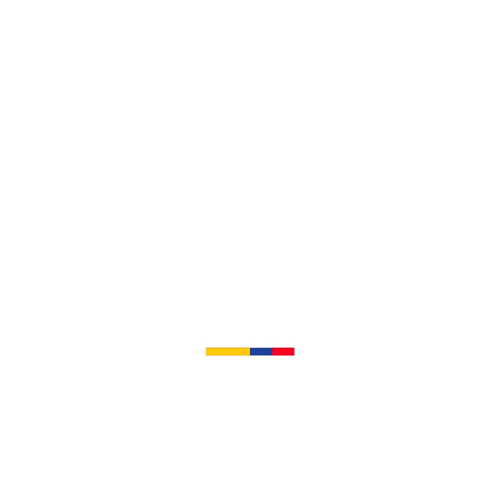 ANSV Logo